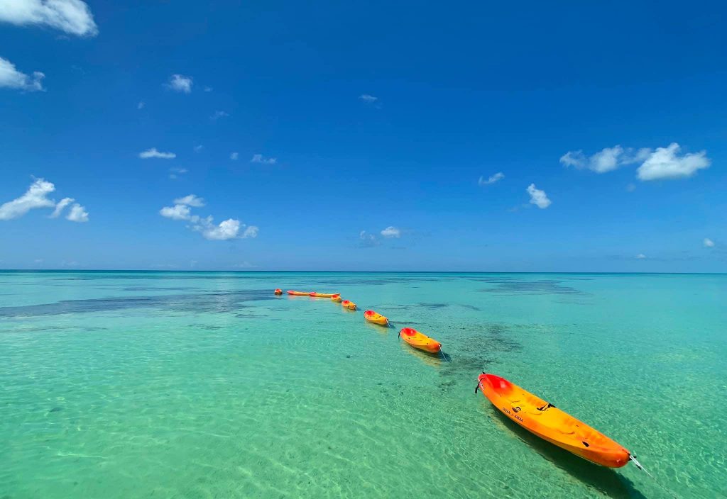 Kayaks in Key West