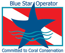 Blue Star Operator Logo
