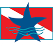 Blue Star Operator Logo