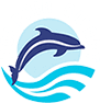 Image of Dolphin SMART logo