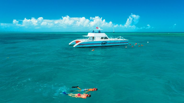 people snorkeling in the key west water with the fury reef express catamaran in the background