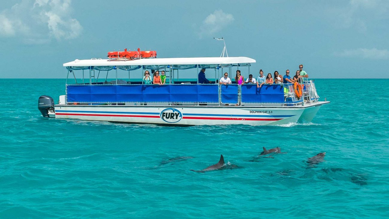 Key West Dolphin Watch And Sunset Cruise Package