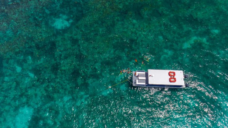 aerial view of a Fury catamaran surrounded by the ocean and reef. The catamaran is tied to a buoy and around it are guests snorkeling.