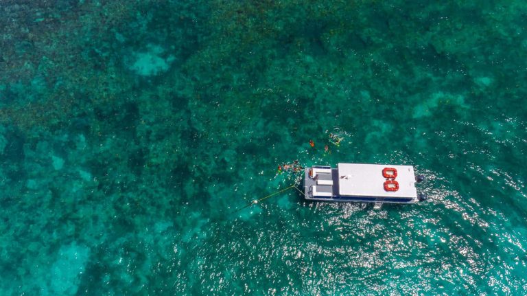 Aerial view of a Fury catamaran surrounded by the ocean and reef. The catamaran is attached to a buoy and around catamaran are guests snorkeling.