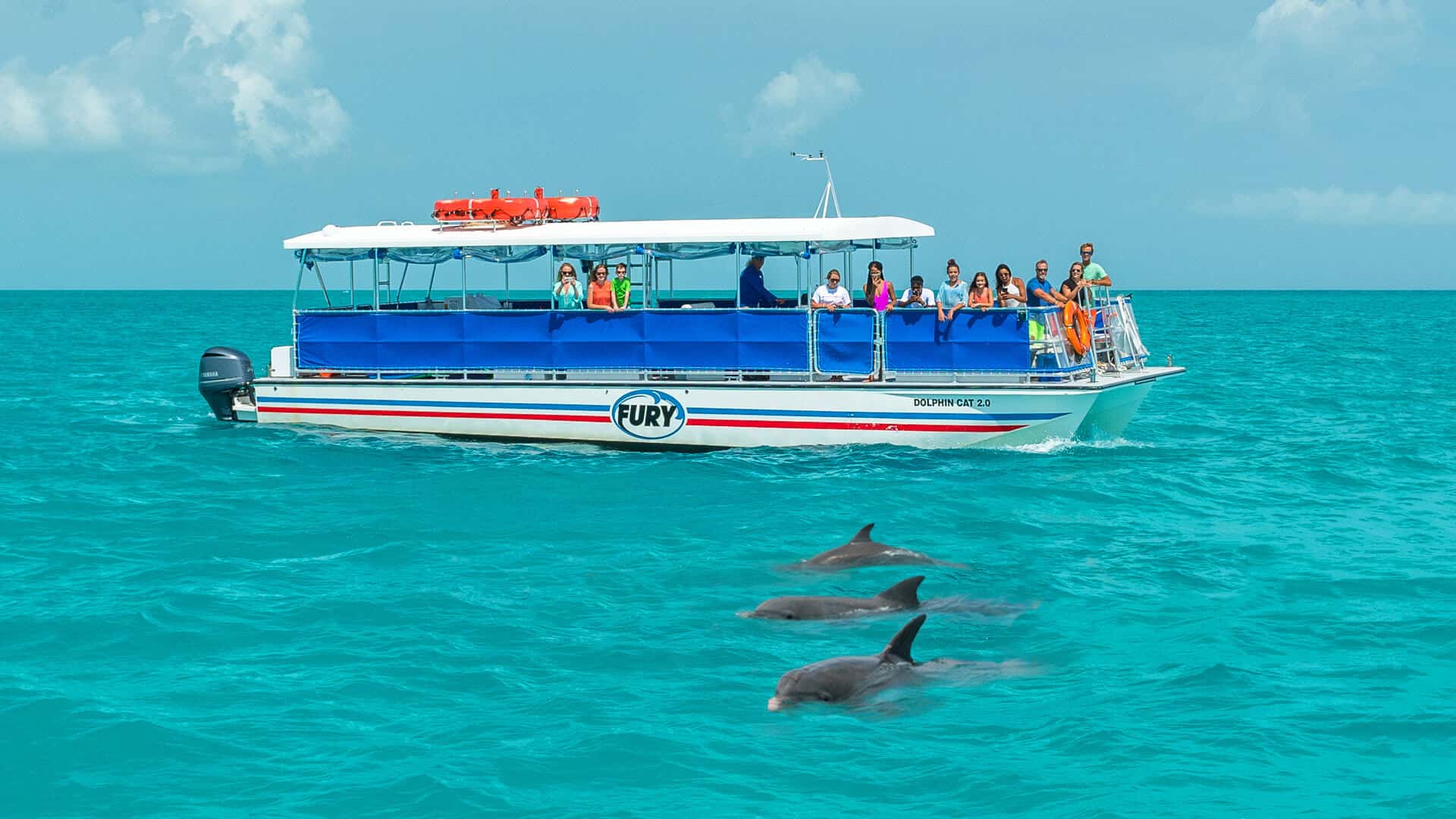 Fury Corinthian Boat on Dolphin Watch Trip
