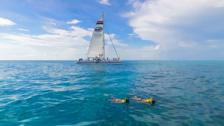 two snorkelers swimming in the reef with a Fury Catamaran in the background