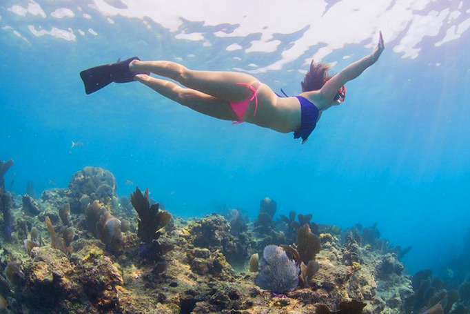 Girl snorkeling by Key West corals