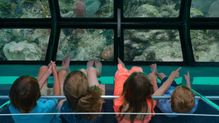 kids enjoying fury’s glass bottom boat trip