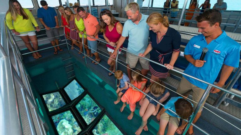 Image of people viewing the coral reef on a Glass Bottom Boat Tour