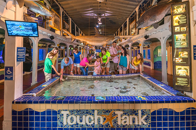 key west aquarium touch tank