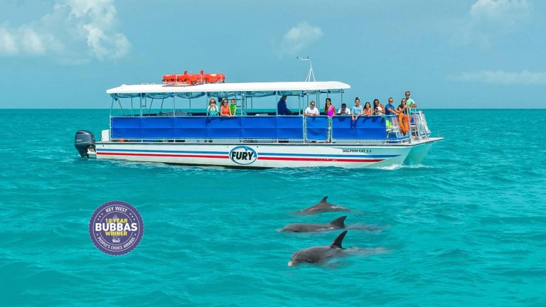 key west dolphin watch and snorkel during relaxing vacation