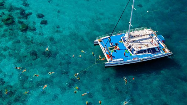Image of people snorkeling in Key West