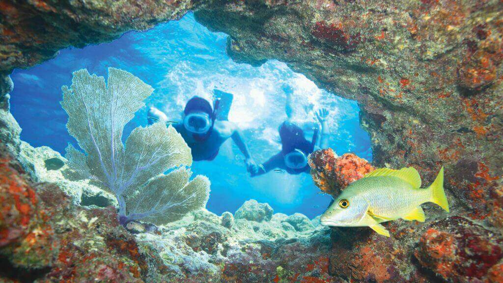 Image of couple snorkeling coral reef in Key West