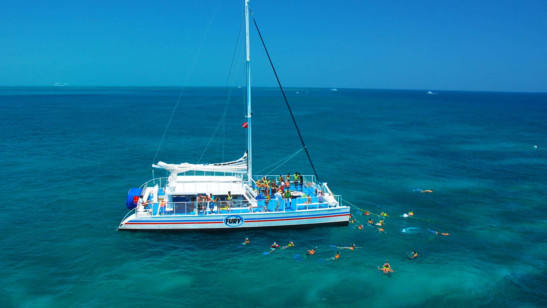Image of people snorkeling on the Fury Snorkel Tour