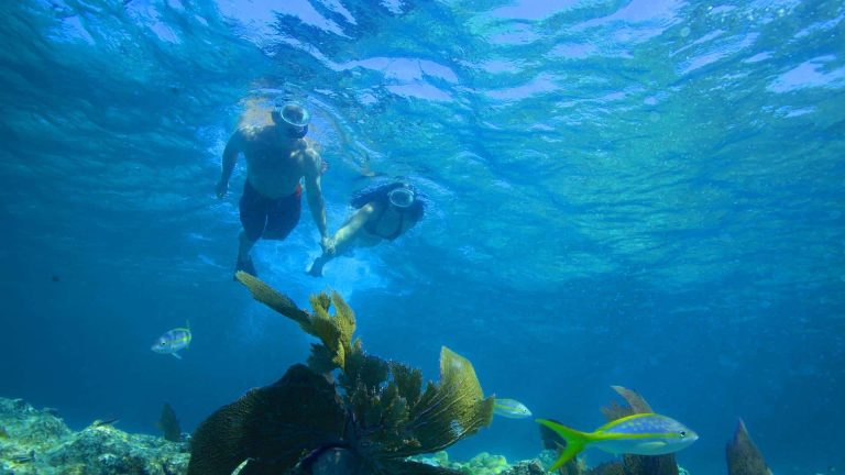 Image of couple on the Fury Afternoon Snorkel Tour