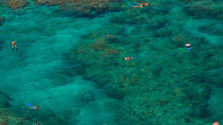 Aerial view of people snorkeling in Key West