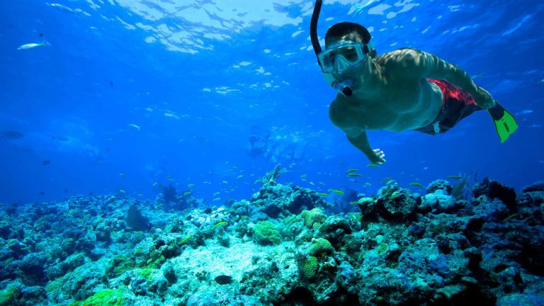 Image of man snorkeling the Key West waters