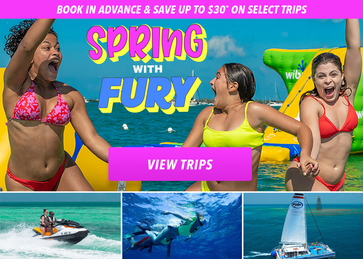 spring with fury special spring offers