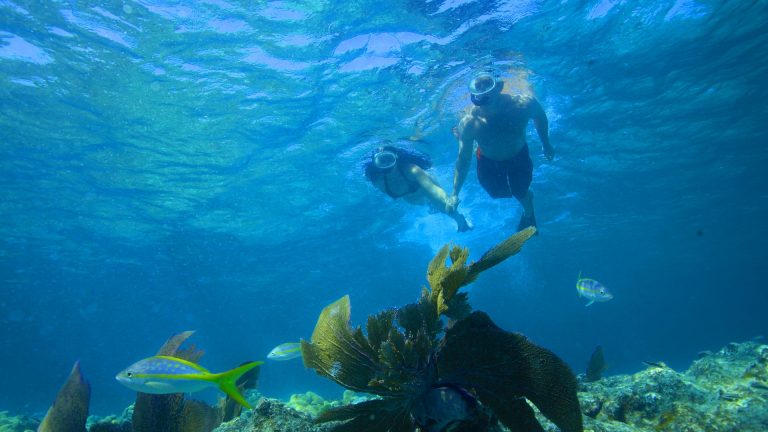 Image of couple snorkeling in Key West