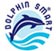 dolphin smart logo